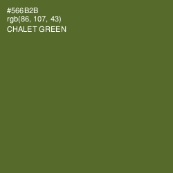 #566B2B - Chalet Green Color Image